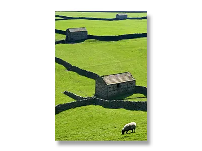Gunnerside - Barns, dry stone walls, and sheep - Click to view or buy this customisable greeting card