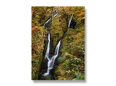 Stock Ghyll Force, The Lake District - Click to view or buy this customisable greeting card