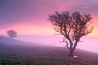 Pink misty sunrise, The Helm, Kendal