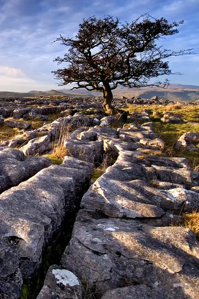 The Winskill Stones (The Yorkshire Dales)